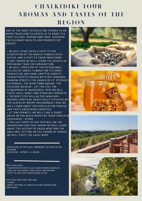 Villa Πετρινη Κατοικια Στην Φυση Tagarades Exterior foto